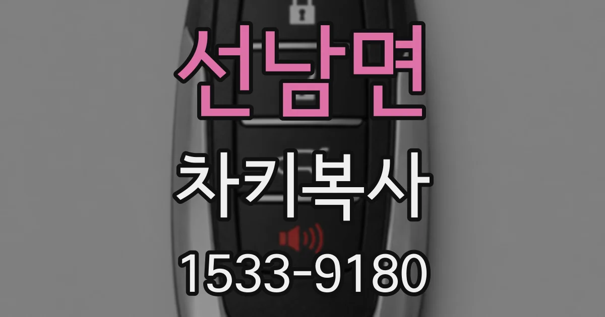 선남면 차키복사