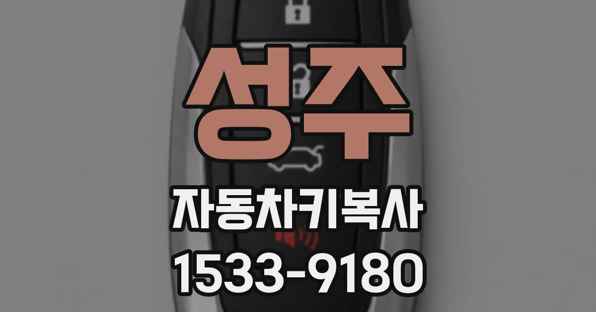 성주 자동차키복사