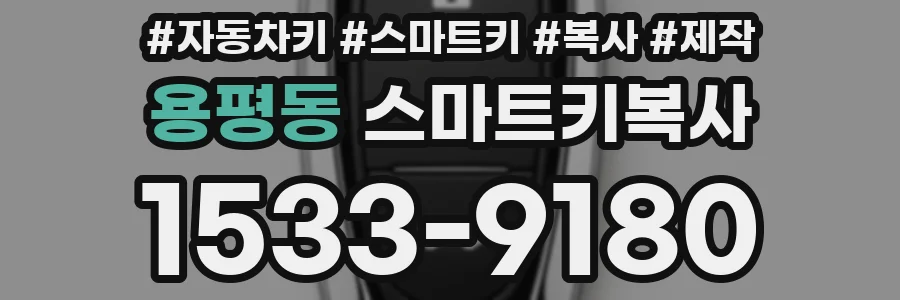 용평동 스마트키복사