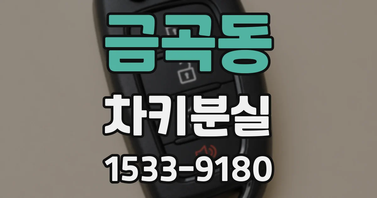 금곡동 차키분실