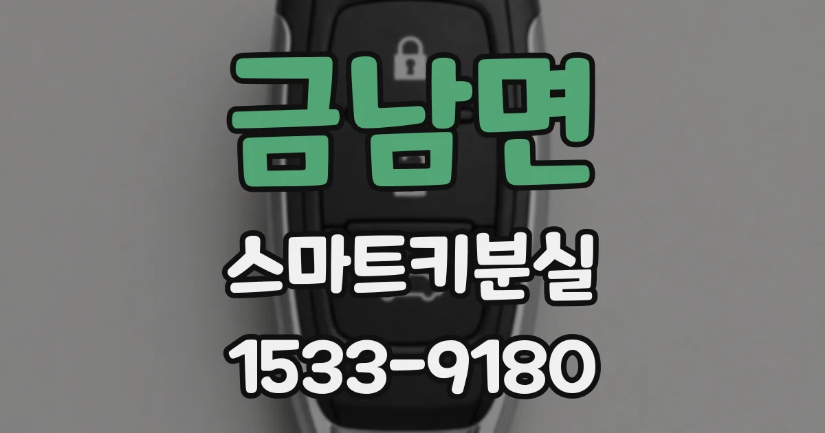금남면 스마트키분실