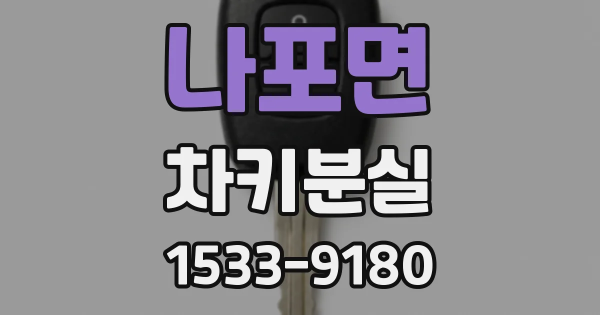 나포면 차키분실