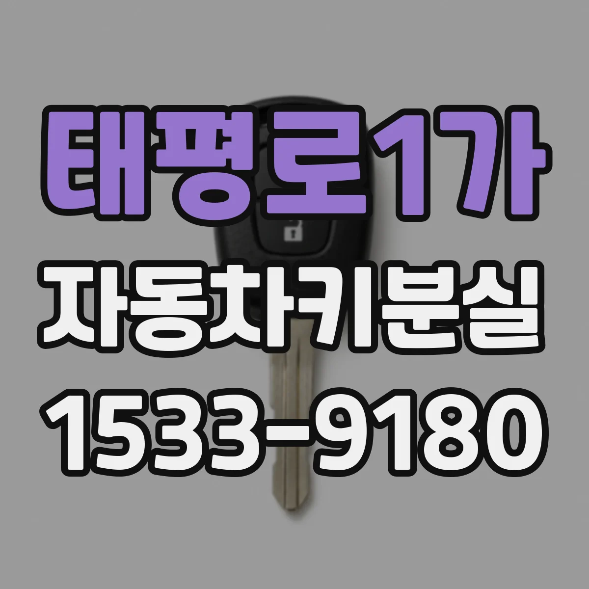 태평로1가 자동차키분실