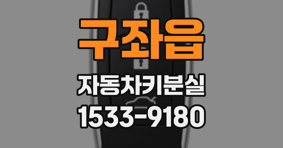 구좌읍 자동차키분실