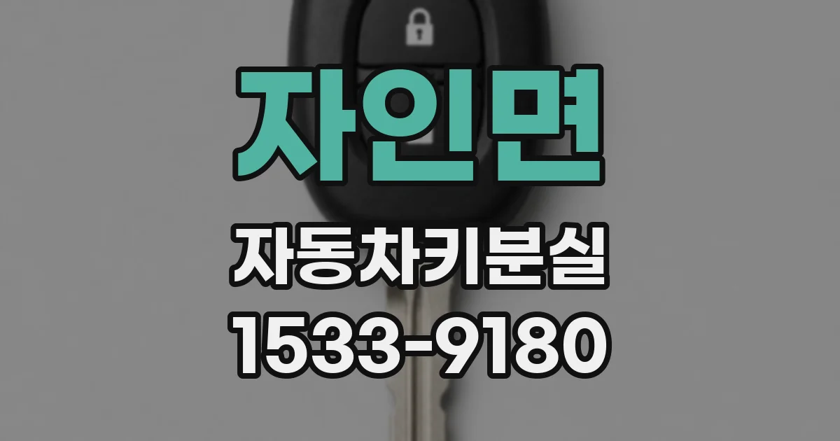 자인면 자동차키분실