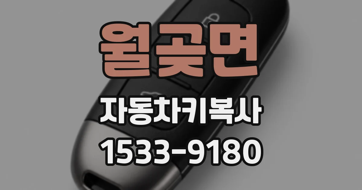 월곶면 자동차키복사