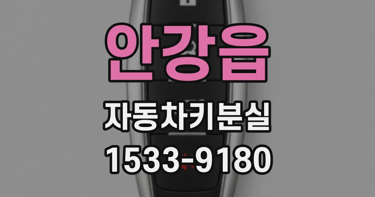 안강읍 자동차키분실
