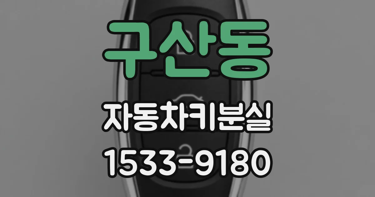 구산동 자동차키분실
