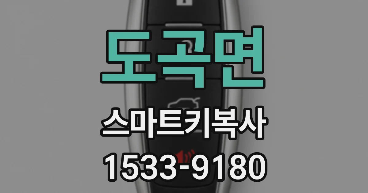 도곡면 스마트키복사