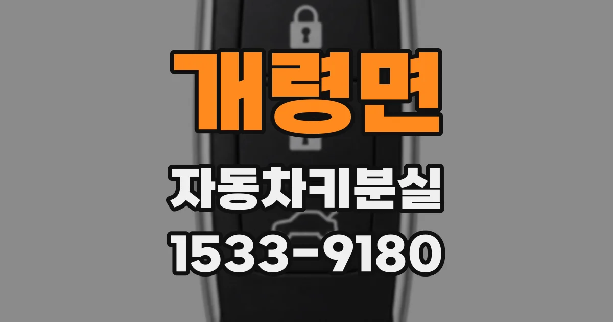 개령면 자동차키분실