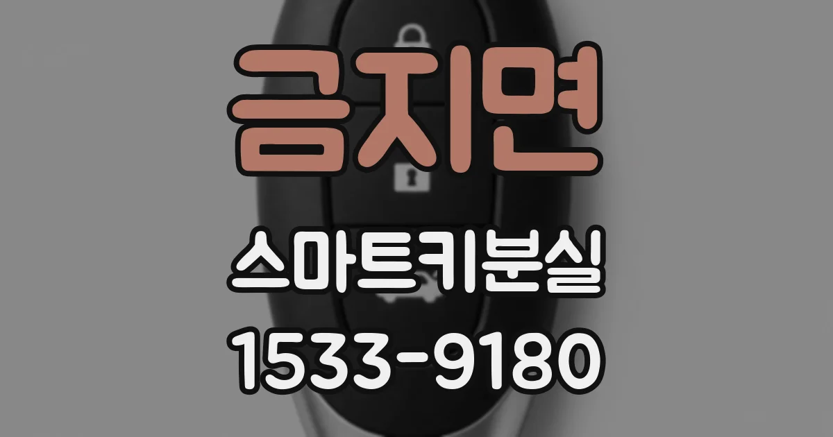 금지면 스마트키분실