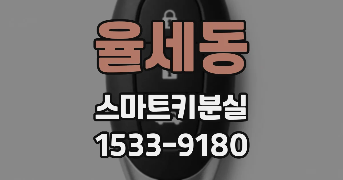 율세동 스마트키분실