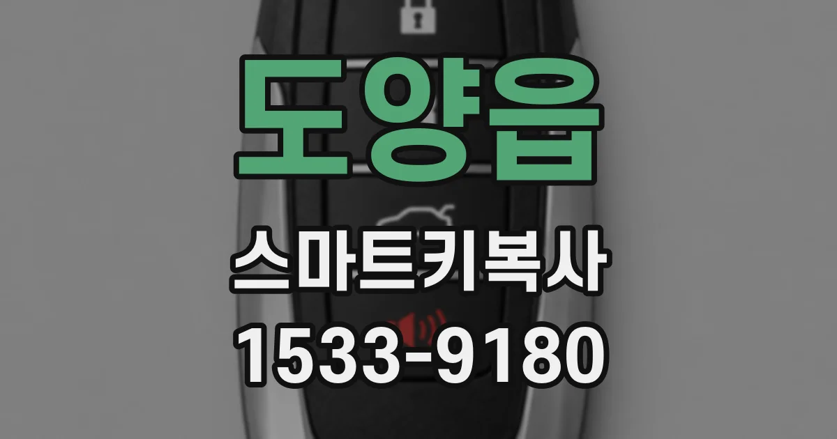 도양읍 스마트키복사