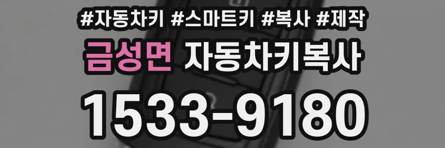 금성면 자동차키복사