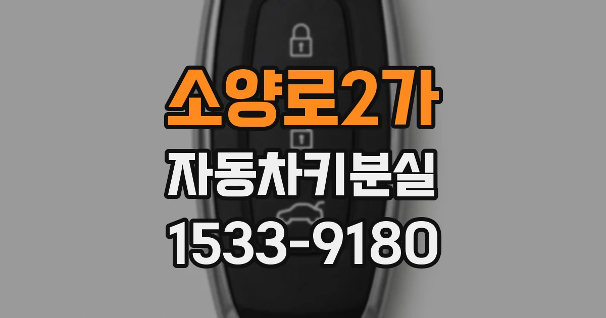 소양로2가 자동차키분실