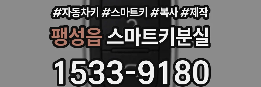 팽성읍 스마트키분실