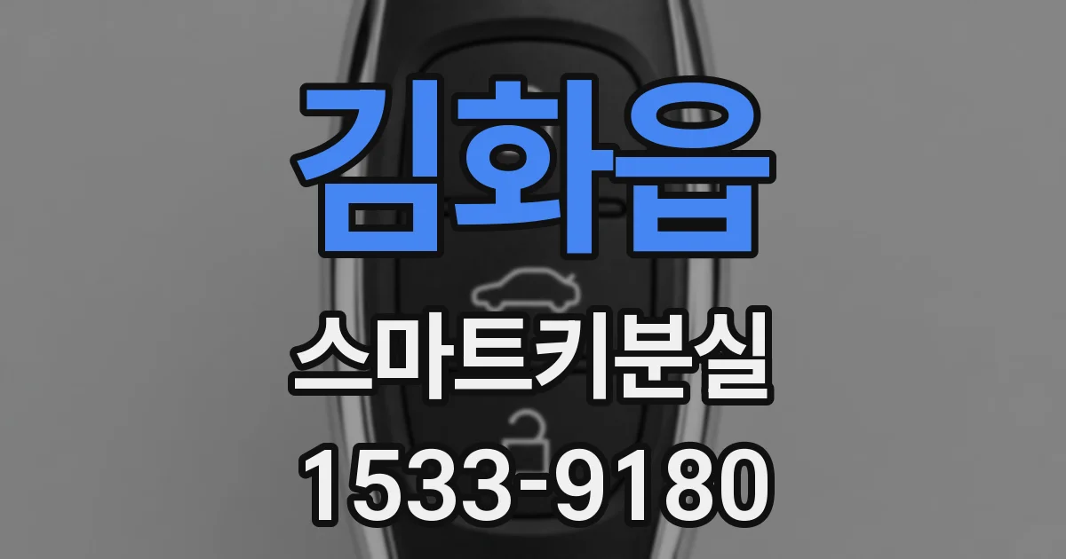 김화읍 스마트키분실