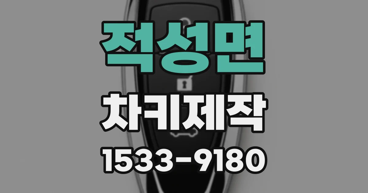 적성면 차키제작