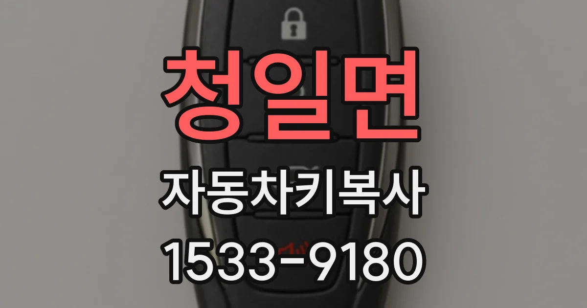 청일면 자동차키복사