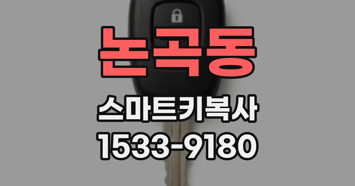 논곡동 스마트키복사