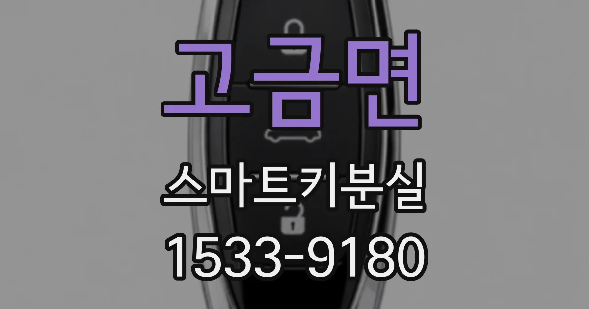 고금면 스마트키분실