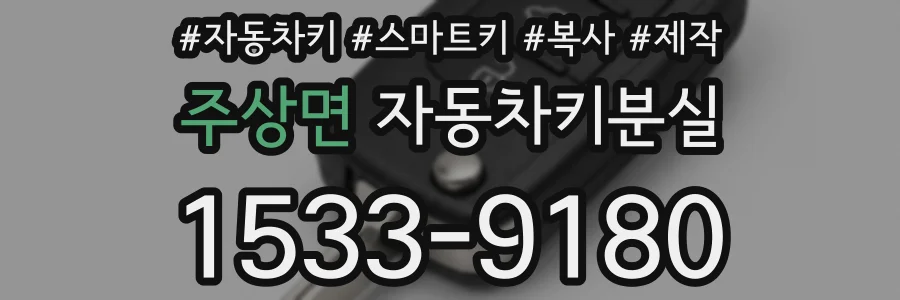 주상면 자동차키분실