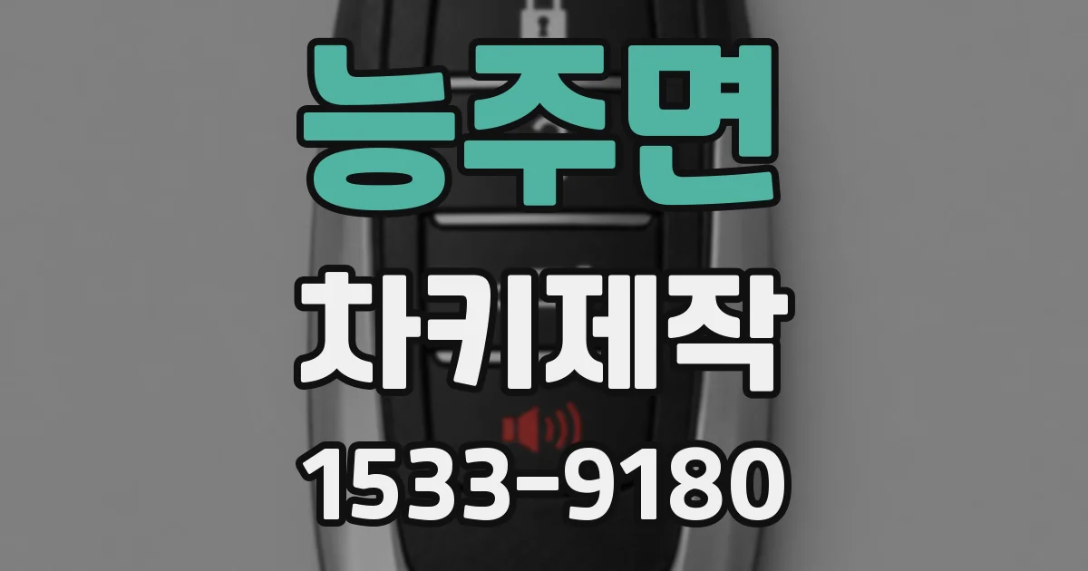 능주면 차키제작