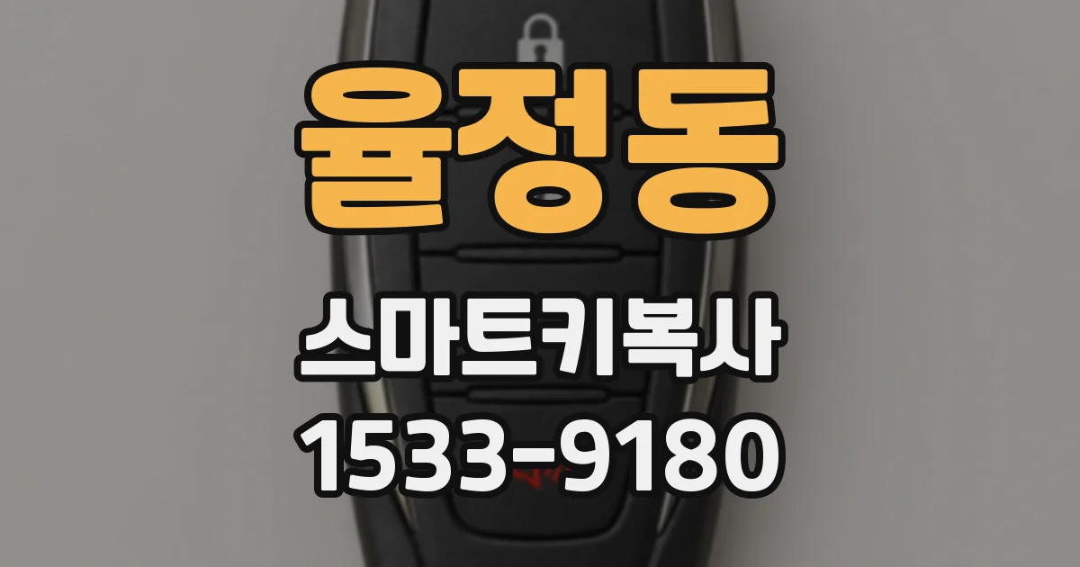 율정동 스마트키복사