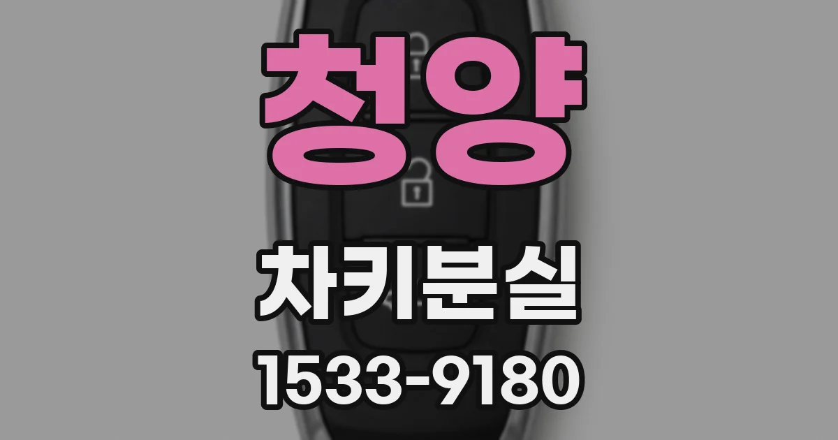 청양 차키분실