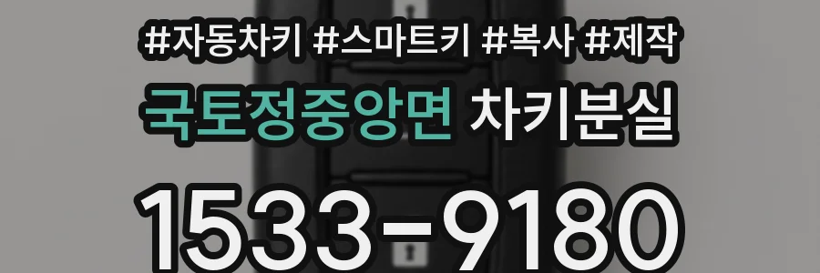 국토정중앙면 차키분실