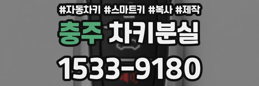충주 차키분실
