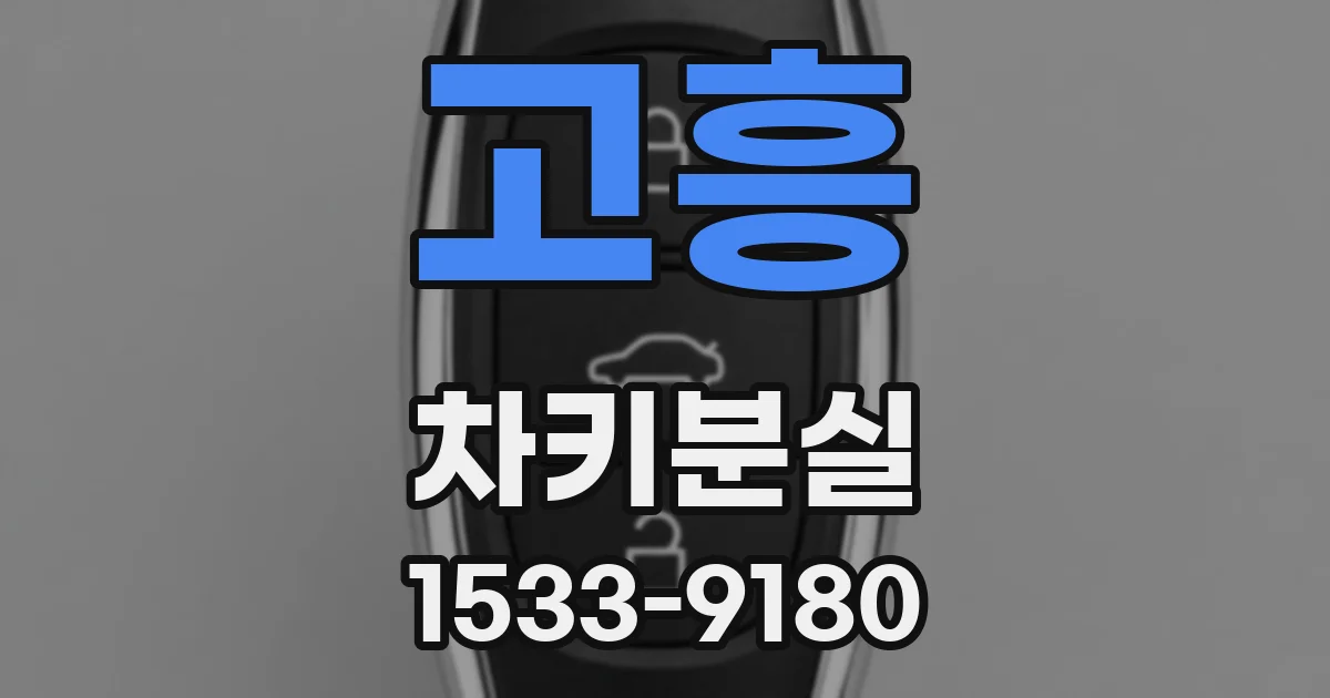 고흥 차키분실