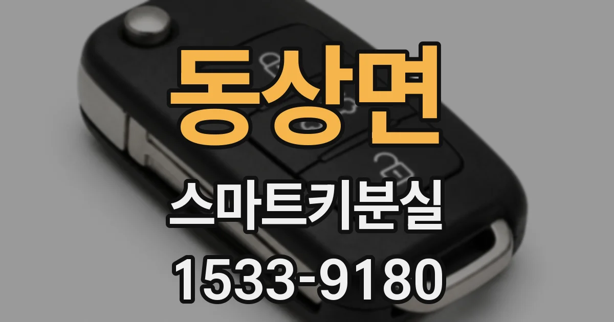 동상면 스마트키분실