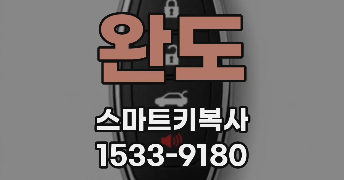 완도 스마트키복사