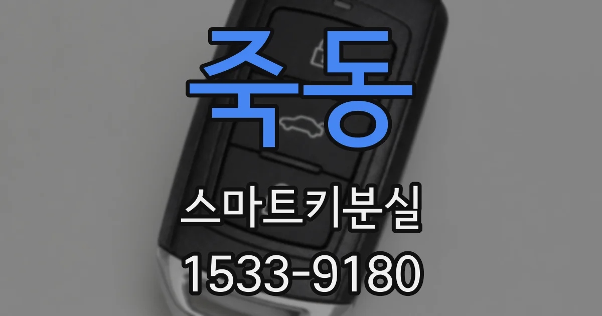 죽동 스마트키분실