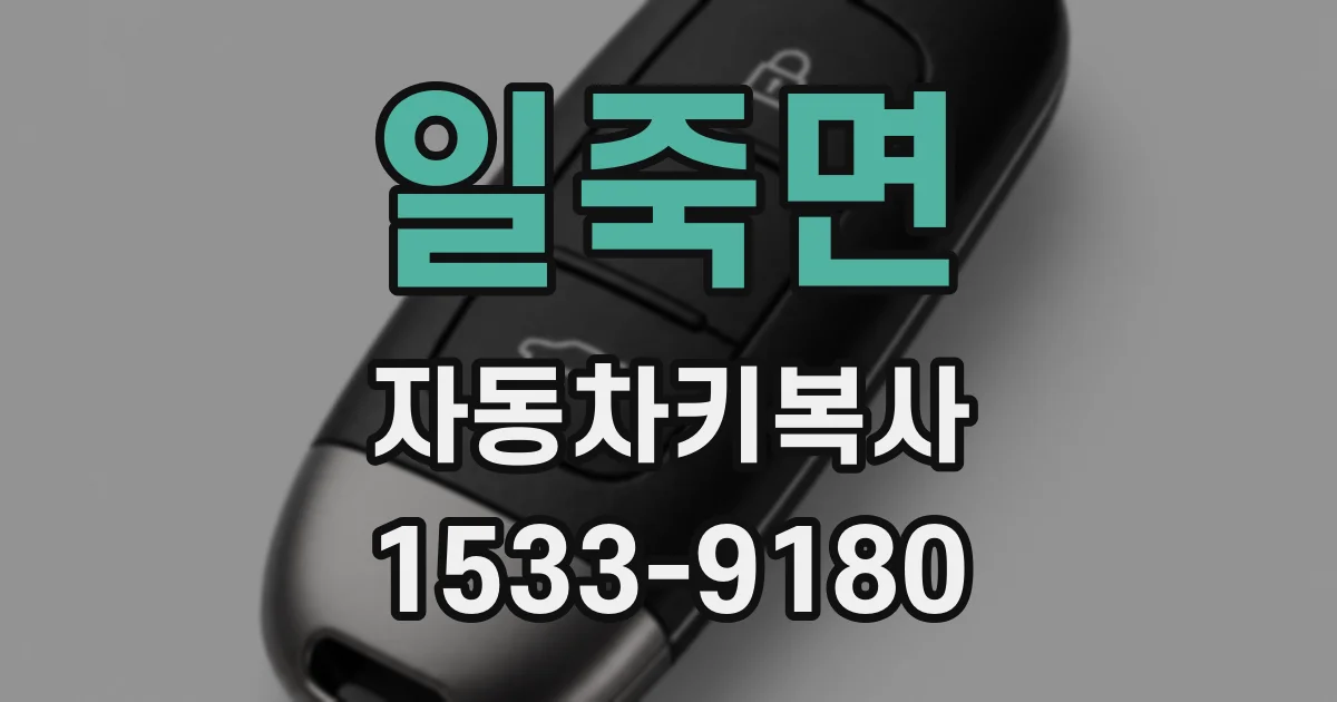 일죽면 자동차키복사