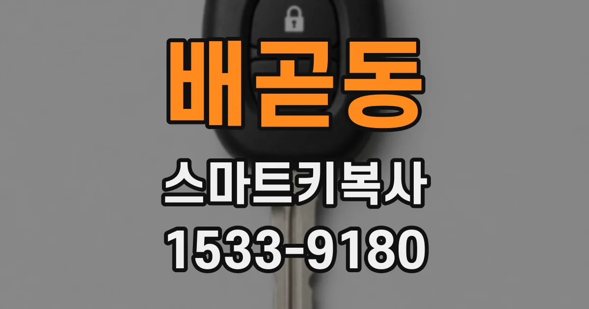 배곧동 스마트키복사