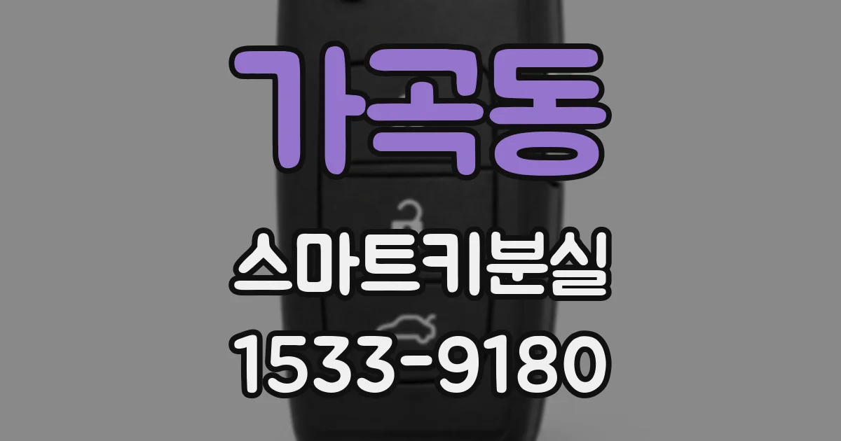 가곡동 스마트키분실