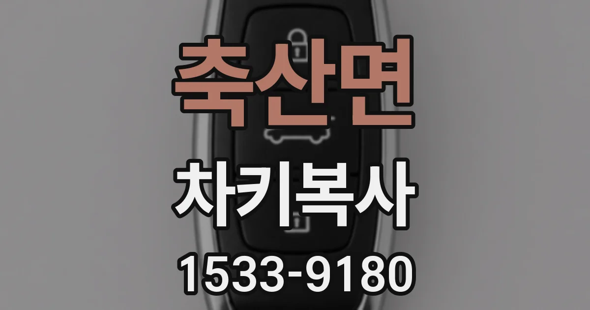 축산면 차키복사