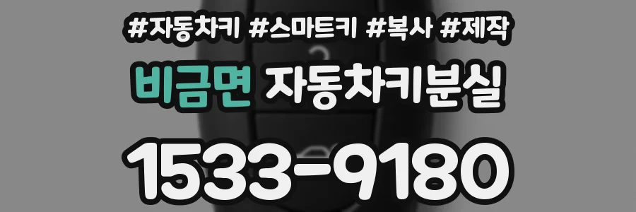 비금면 자동차키분실