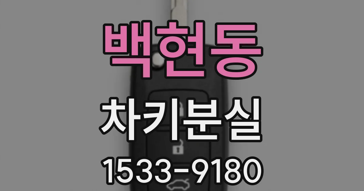 백현동 차키분실