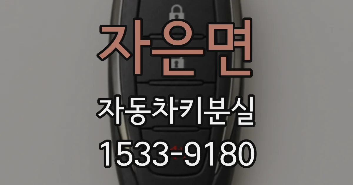 자은면 자동차키분실