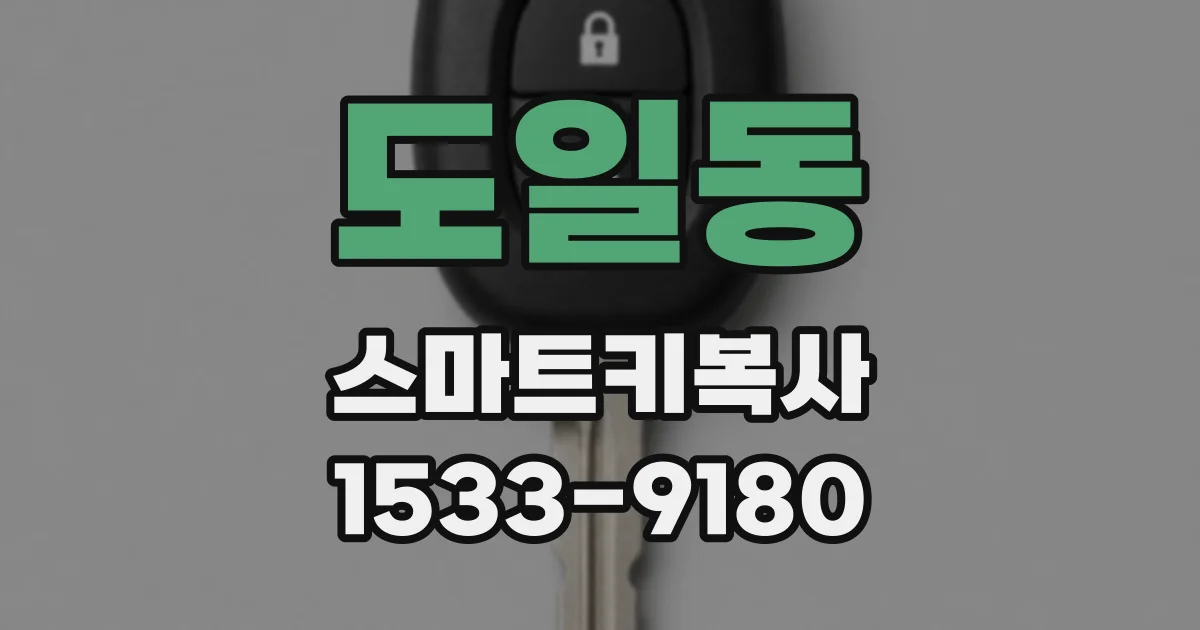 도일동 스마트키복사