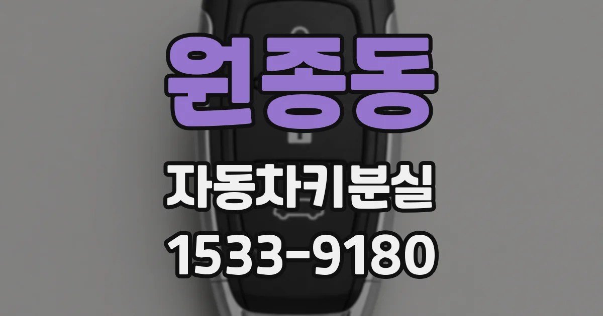 원종동 자동차키분실