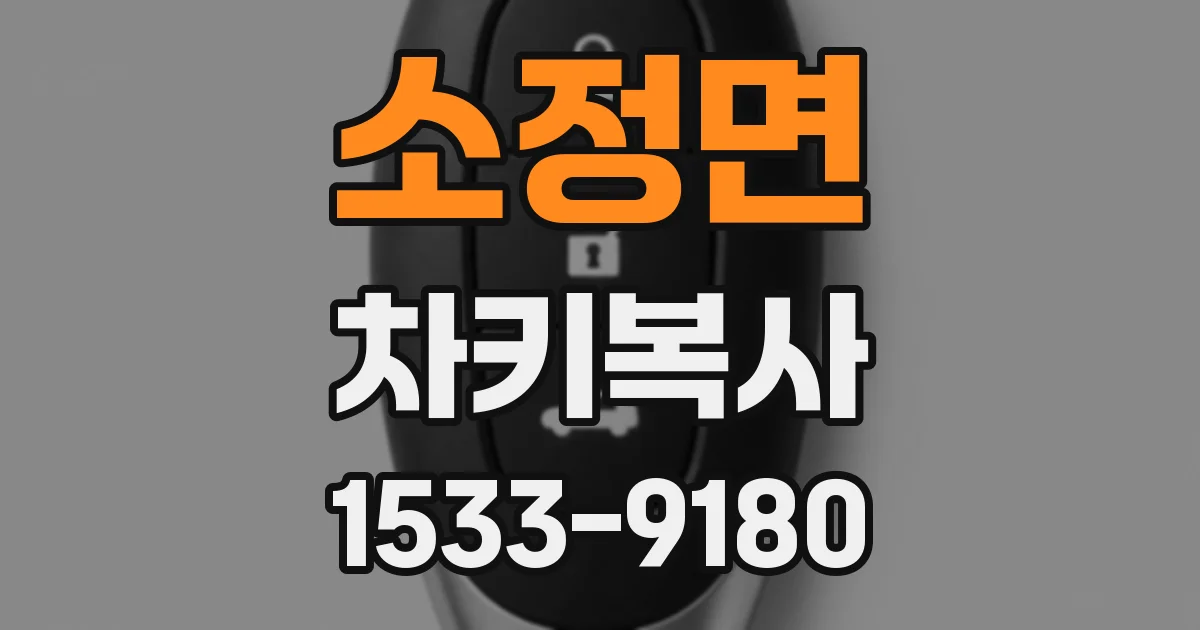 소정면 차키복사