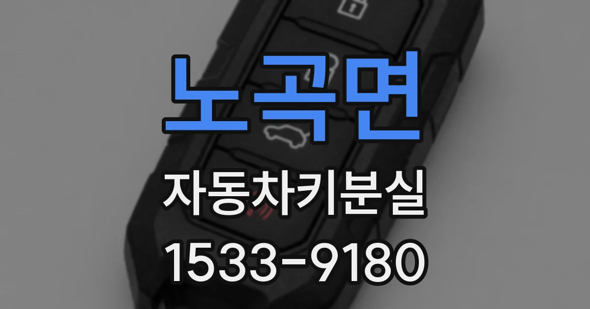 노곡면 자동차키분실