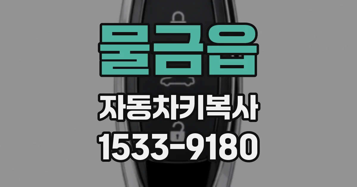 물금읍 자동차키복사