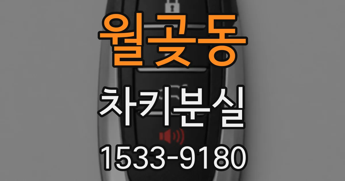 월곶동 차키분실