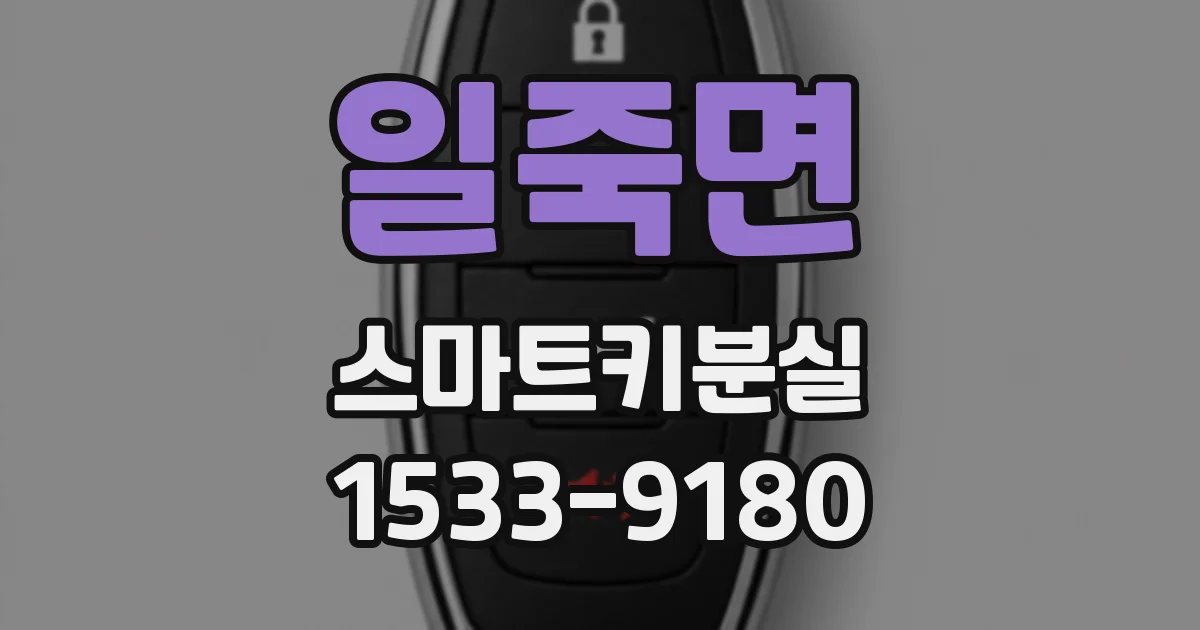 일죽면 스마트키분실