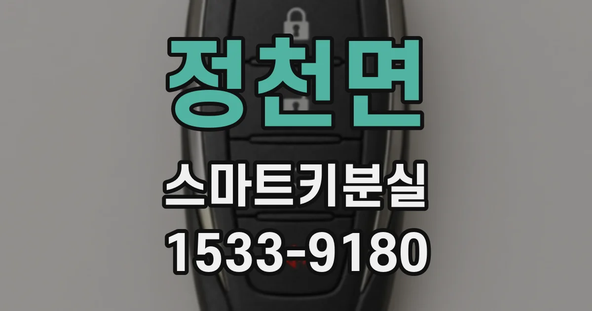 정천면 스마트키분실